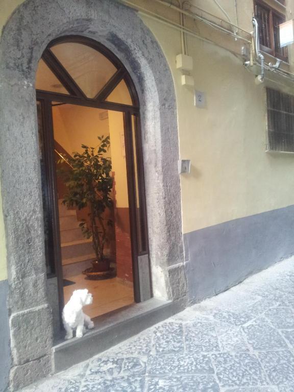 Dei Gerolomini Hotel Naples Exterior photo